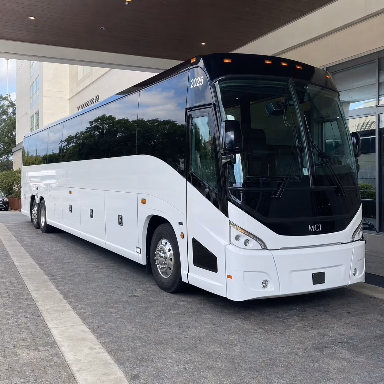 asheville 54 passenger charter bus