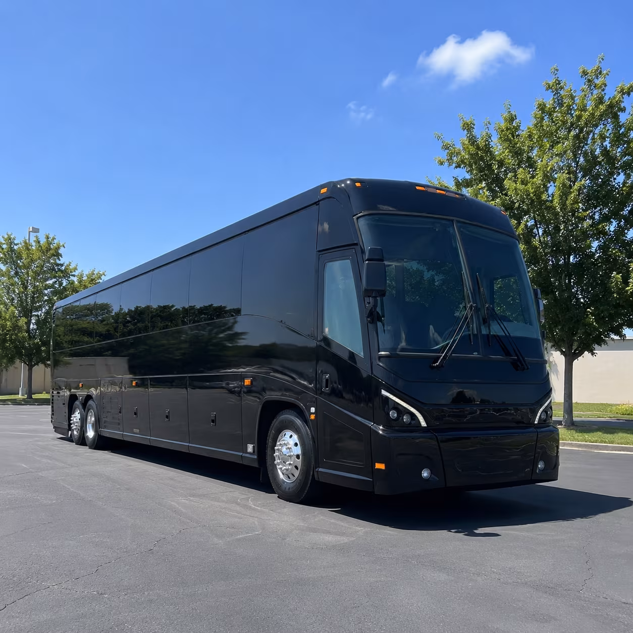 asheville 56 passenger charter bus