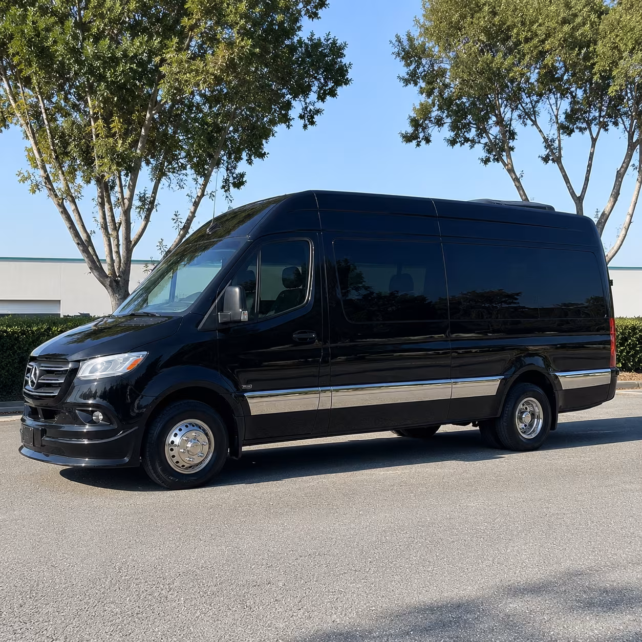 asheville sprinter van with driver